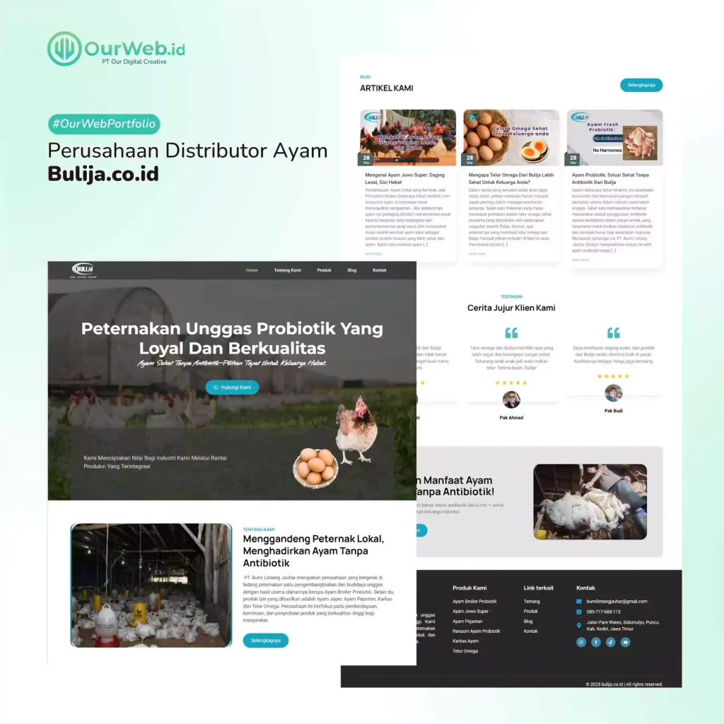 bulija-68807fb1d997c